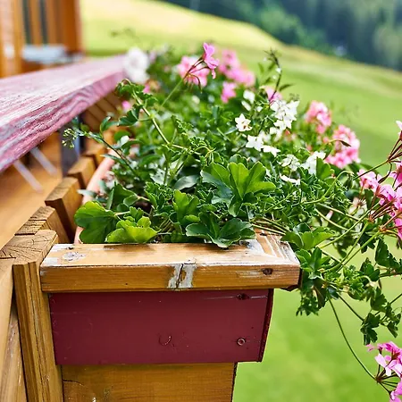 Farm stay Dr'berghof Damuels