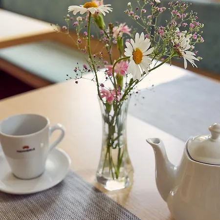 Dr'berghof דאמואלס